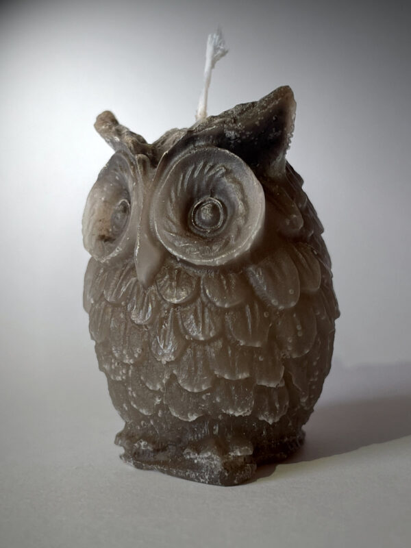 Candle Owl