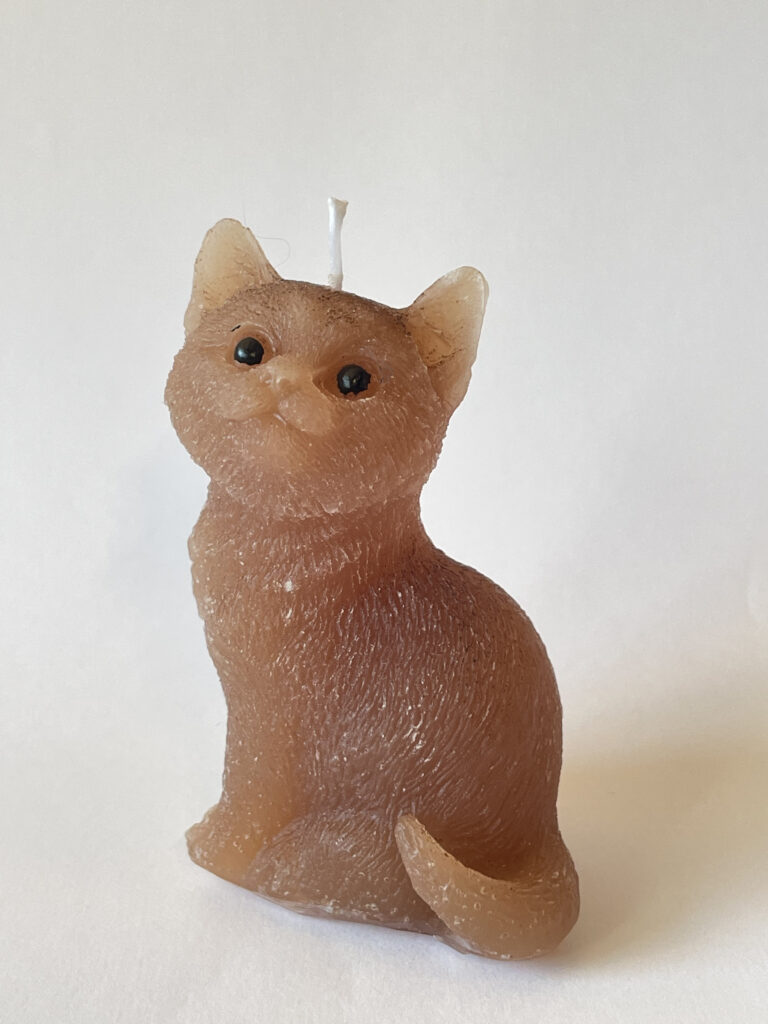 Kerze Katze
